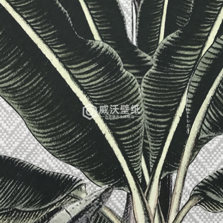 ARTE进口ESSENTIALS-Travellers东南亚芭蕉叶墙纸壁纸11140 11141