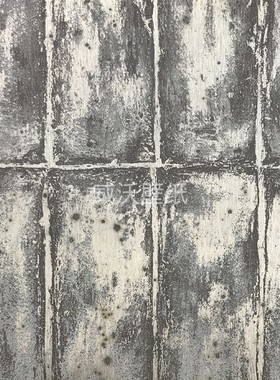 比利时进口ARTE 金属感墙纸60120 60121 60122 60123 60124 60125