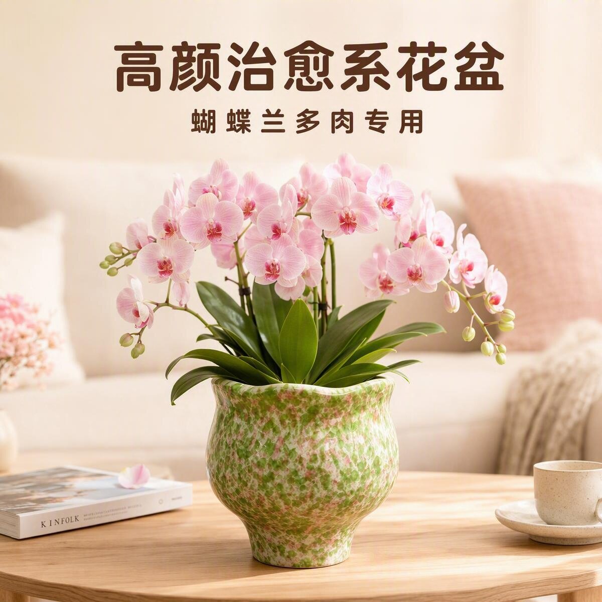 蝴蝶兰专用陶瓷花盆简约大号盆栽