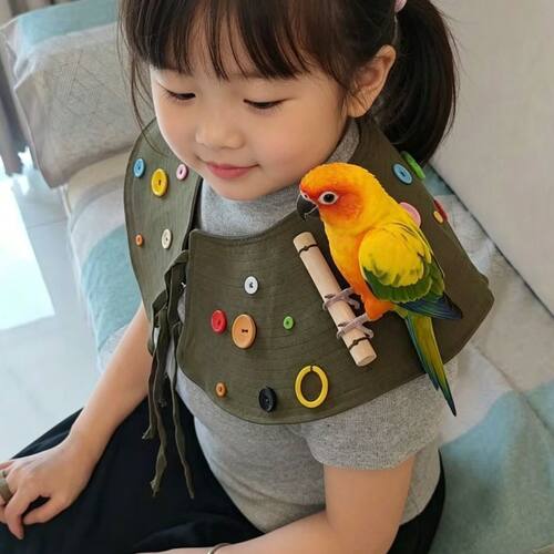 夏季养鸟披肩鹦鹉防抓训鸟互动防咬接玄风虎皮小太阳防护遛鸟站