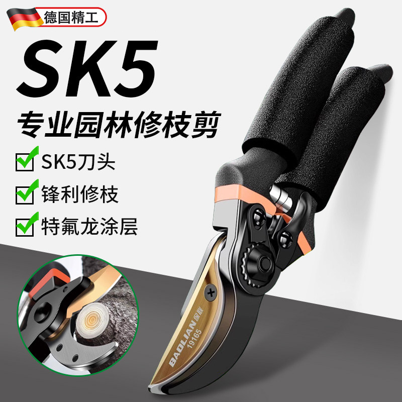 德国剪枝剪刀省力园林花艺剪专用粗大枝剪多功能果树修剪园艺工具图片