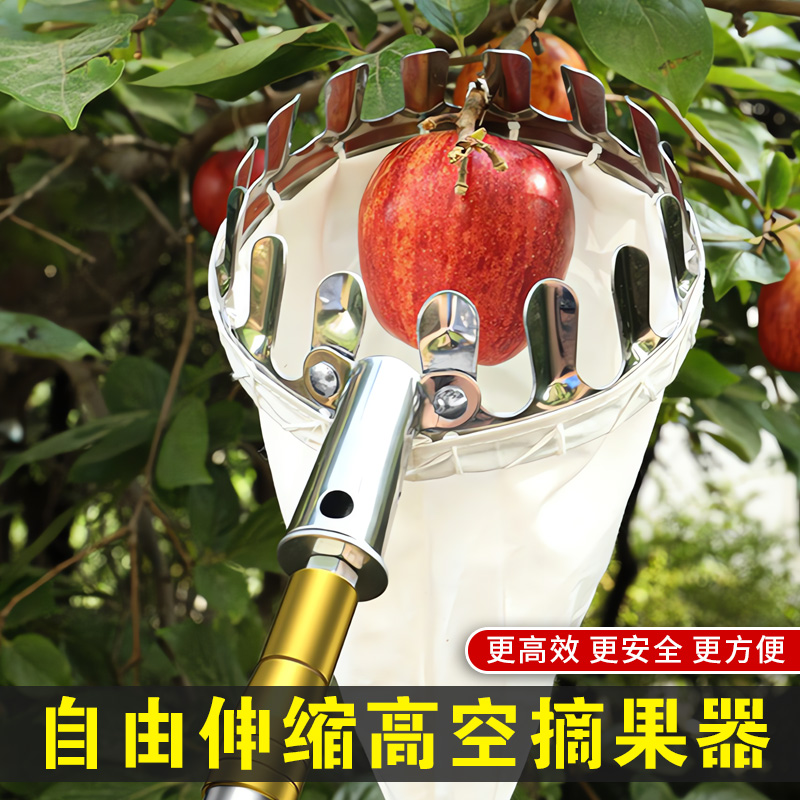 【加厚不锈钢】枇杷勾香椿剪刀
