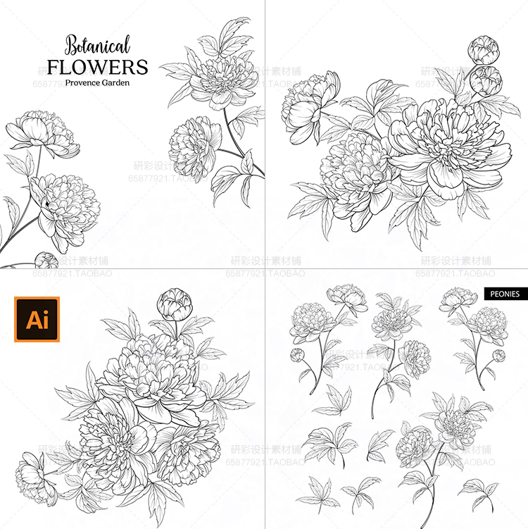 黑白手绘牡丹花卉线描花卉植物花朵线稿婚礼装饰画ai矢量素材素材