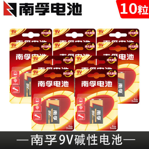 南孚 9V 碱性电池10粒方形玩具车麦克风话筒烟雾报警器专用九伏
