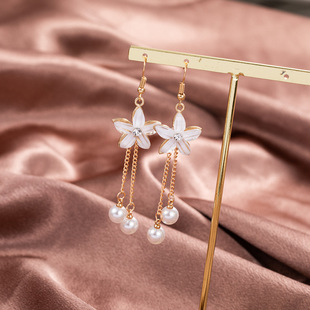 2023 Exquisite Women Long Pearl Tassel Earrings Earhooks
