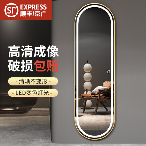 林缇轻奢风椭圆形三色调光穿衣镜