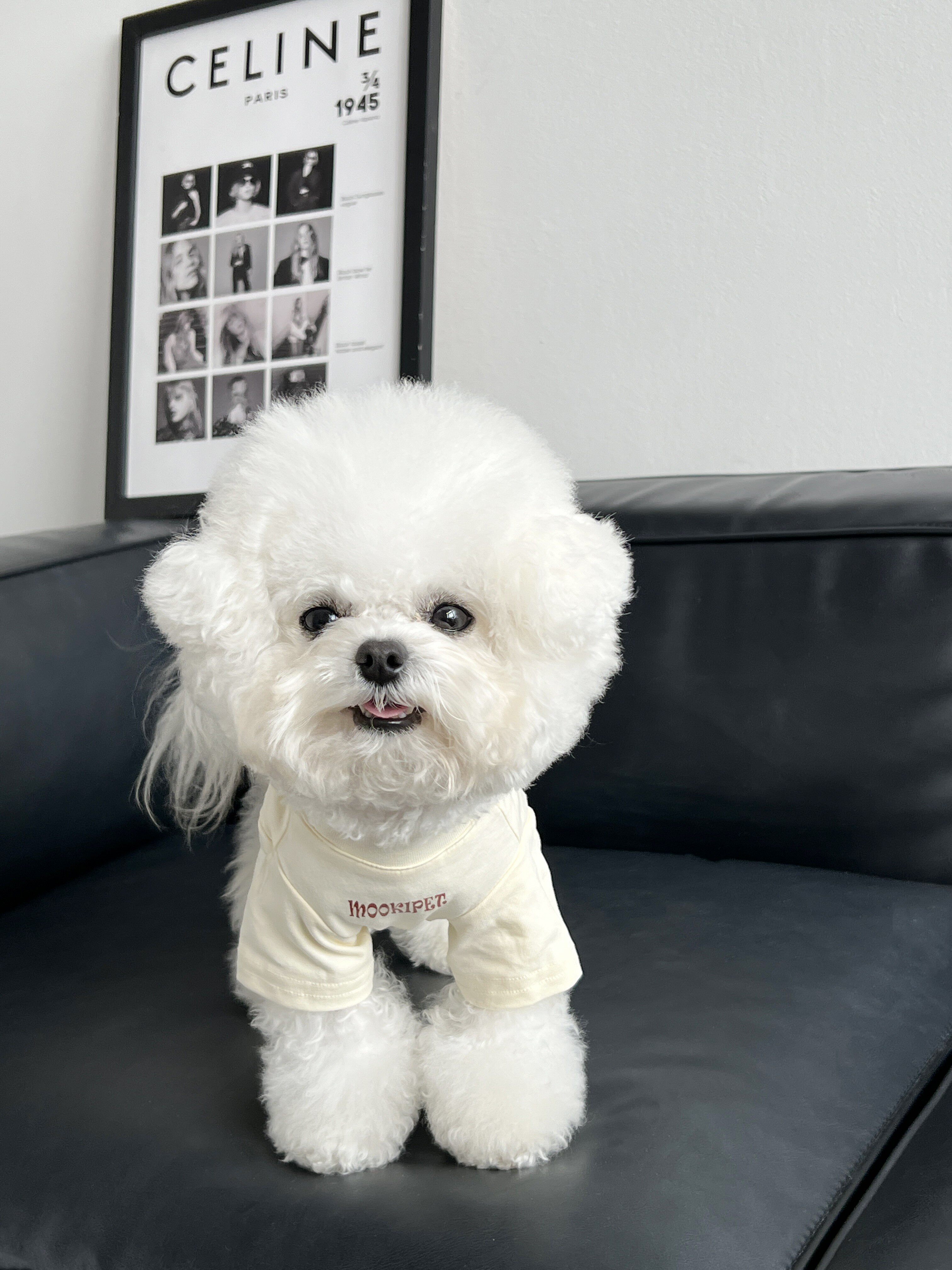 狗狗秋冬衣服2023新款小型犬比熊马尔济斯雪纳瑞宠物冬季保暖t恤