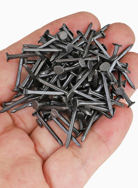 鞋钉臭皮钉黑色小铁钉钉鞋小钉子修鞋钉二两左右13mm16mm19mm25mm