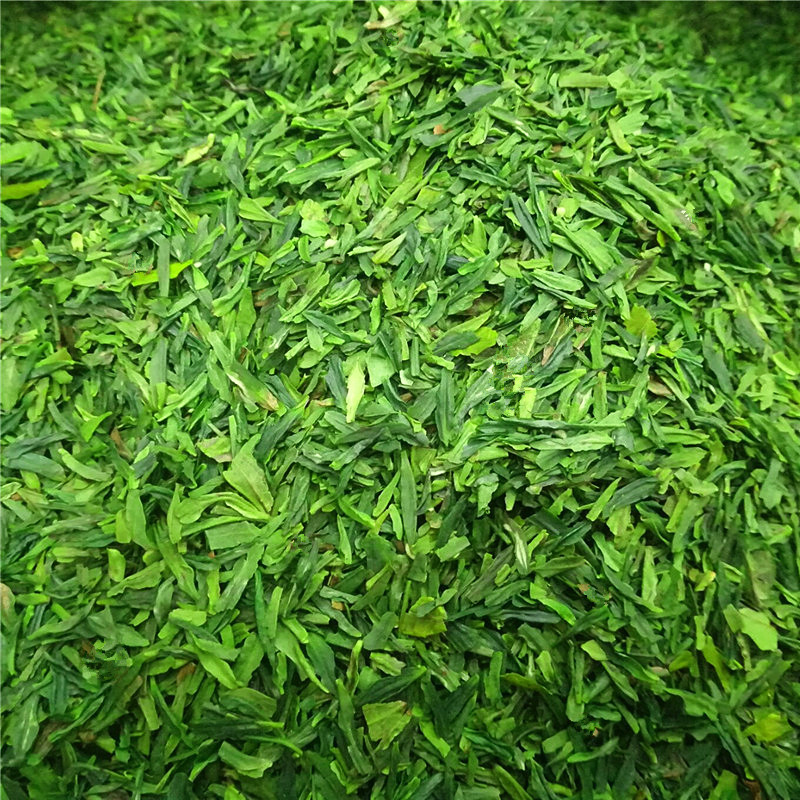 2025新茶上市雀舌碎茶片碎片春茶片散装500g包邮碎茶叶绿茶碎片
