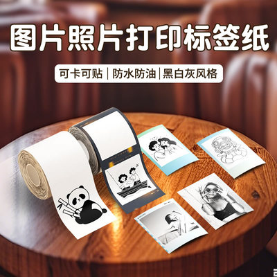 精臣B21Pro/B1Pro/B2Pro专用照片打印纸niimbot图片相片贴纸