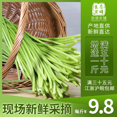 上海新鲜蒜苔500g时令蔬菜