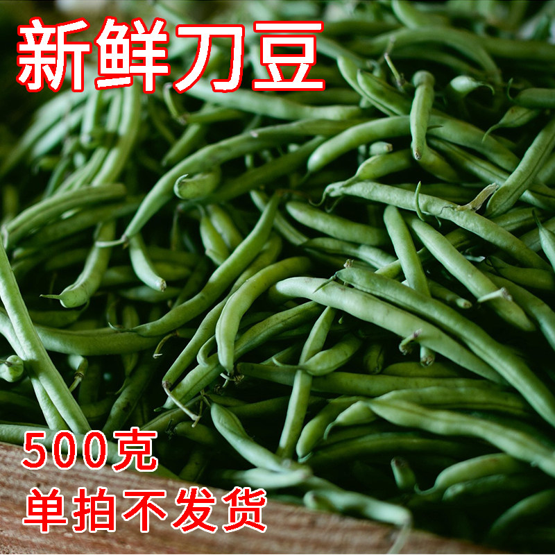 崇明刀豆 豆角 新鲜蔬菜 500g 江浙沪单拍满4件包邮
