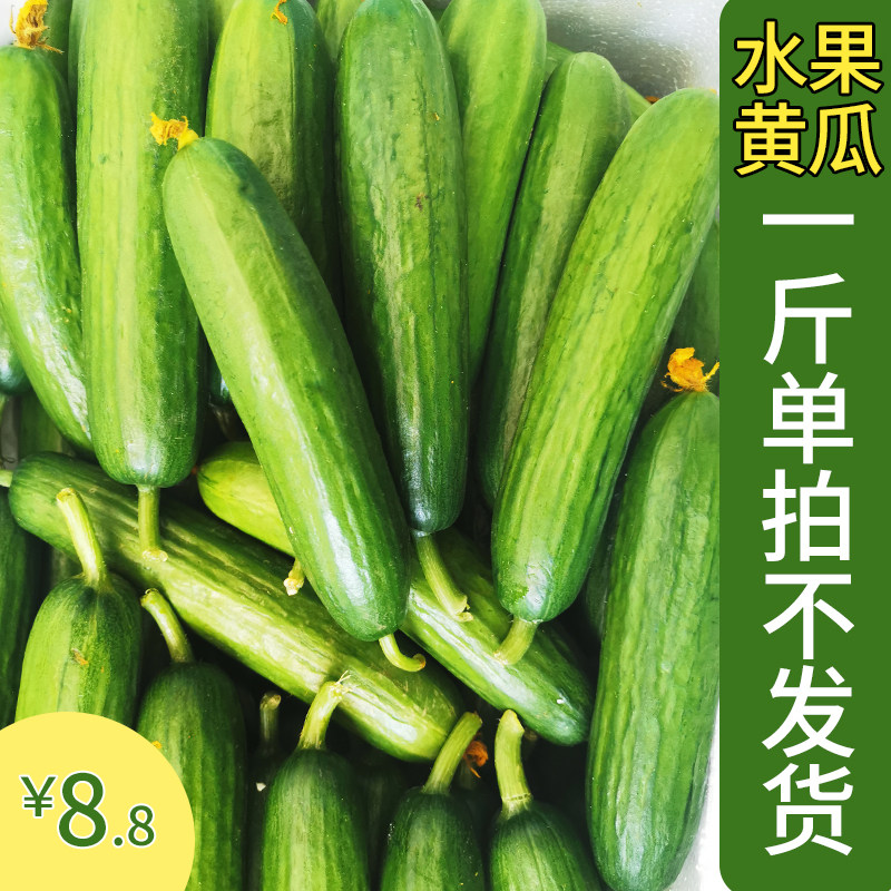 新鲜水果黄瓜低糖美味轻食崇明发货江浙沪顺丰满包邮