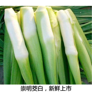 崇明本地茭白新鲜蔬菜现摘现发500g江浙沪全店满38包邮