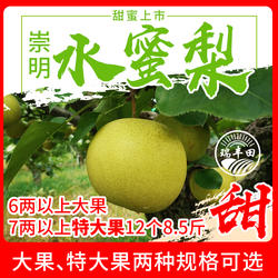 上海蜜梨崇明岛特产翠玉梨水蜜梨皇冠梨苹果梨江浙沪皖顺丰包邮