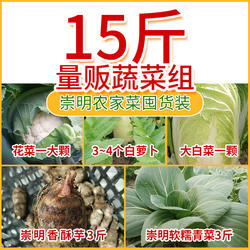 上海崇明特产蔬菜耐存储量贩组合莴笋芋艿花菜萝卜江浙沪顺丰包邮