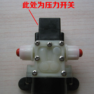 普兰迪微型电动直流隔膜泵12V25W压力开关水泵自吸农用小水泵