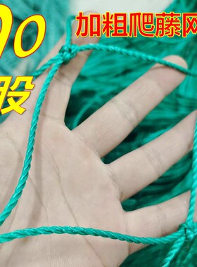 爬藤网植物花卉瓜果丝瓜吊瓜苦瓜南瓜葡萄豆角百香果养殖网攀爬网