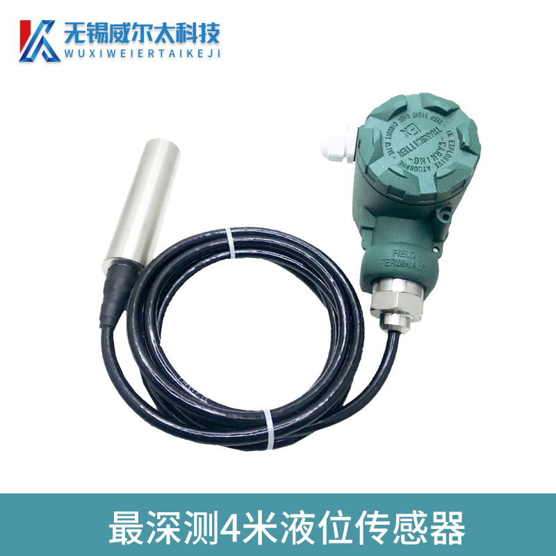 高精度投入式静压液位传感器分体水位显示变送器带接线盒W4-20mA