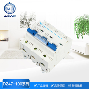 上海人民DZ47-100小型断路器导轨式空气开关100A125A1P2P3P4P80A