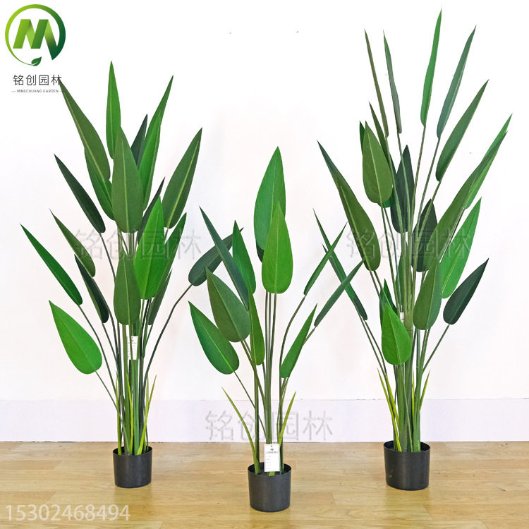 北欧摆件仿真天堂鸟植物 美人蕉盘栽 真旅人蕉绿植落地盘栽