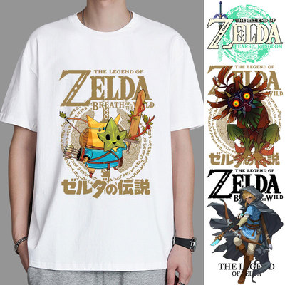 塞尔达传说王国之泪旷野之息衣服