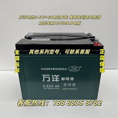 万洋6-EVF-60电动叉车蓄电池