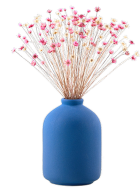 莫兰迪麦穗装饰带小雏菊干花真花