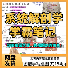 2025系统解剖学参考霍琨老师局解整理学霸笔记解剖图手写重点考试电子PDF