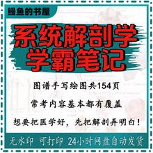 2026考研医学系统解剖学跟霍坤做的笔记板书整理学霸笔记解剖图手写重点考试电子PDF