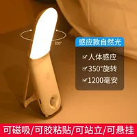 Человеческие сенсорные фонды [естественный свет] 1200 мАч