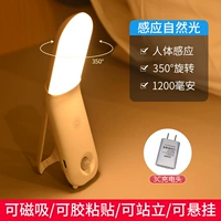 Зарядная головка+фонды чувствительности человека [естественный свет] 1200 мАч