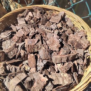 云南老松树皮未发酵泡脚栽花种草兰花专用透气料多肉植物小盆栽