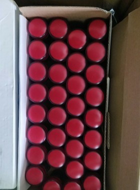 红色指示灯M22R-ER-T2 AC220V