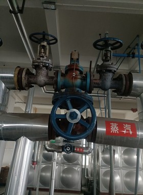 蒸汽管道阀门,蓝色手柄闸阀,DN80规格,带蒸汽标识.阀门整