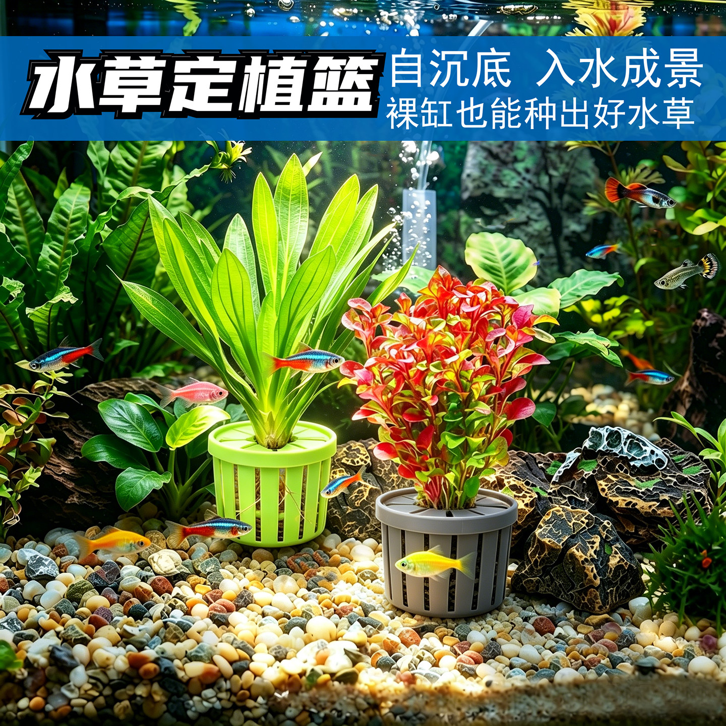 鱼缸水草定植篮养草杯花卉固根器水草泥沉底固定神器家用造景装饰