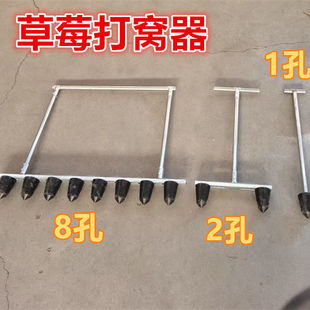 大棚栽草莓农用工具草莓打孔器种草莓神器打窝器打洞器栽草莓神器