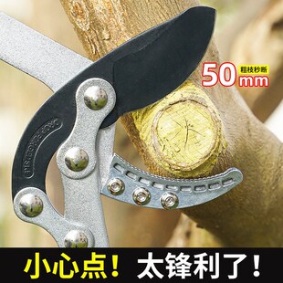 粗枝剪刀园林修剪工具花枝剪刀具可伸缩省力厂家外贸强力果树
