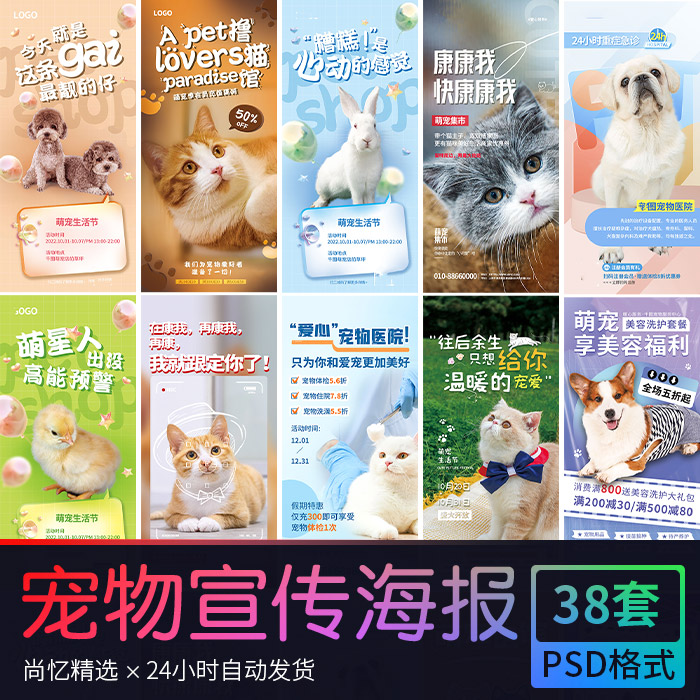 宠物店美容洗护寄养宠物造型优惠活动促销海报 PSD设计素材模版