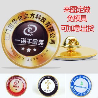 滴胶徽章定制金属胸章订做同学会胸徽司徽校徽纪念章定做胸针制作