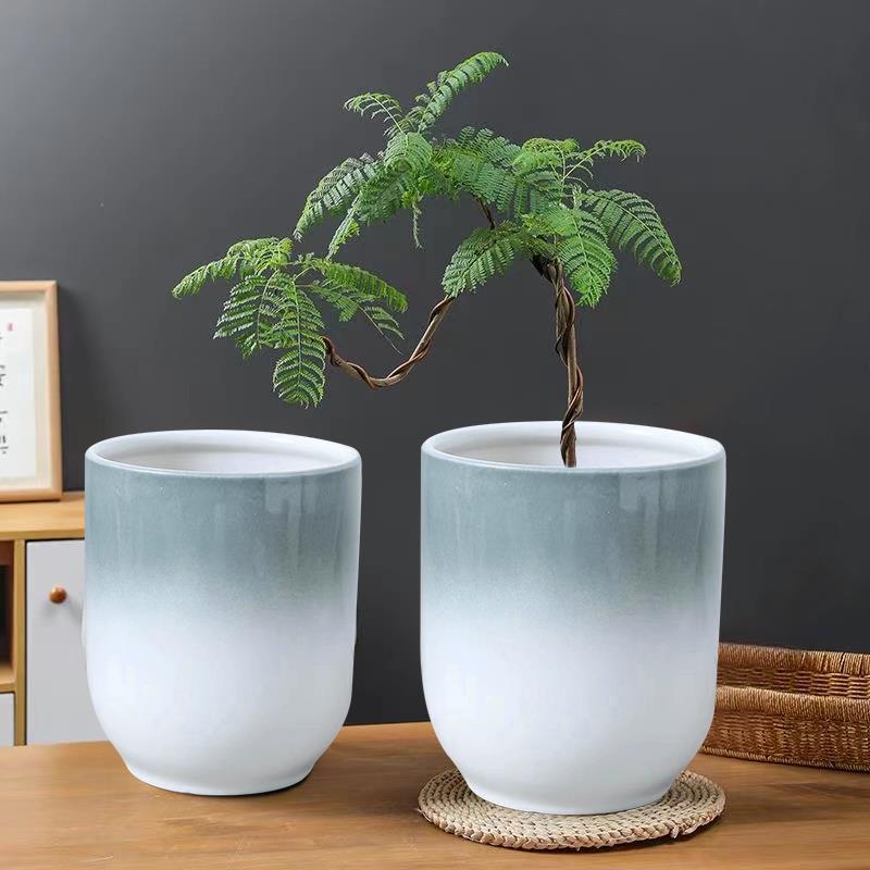 陶瓷花盆轻奢高级感艺术风客厅现代北欧蝴蝶兰百合竹虎皮兰简约