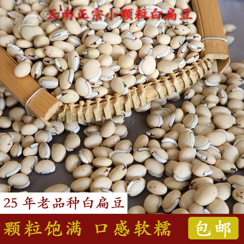 2026年云南正宗老品种黑边白扁豆中药材食用扁豆农家自种新货饱满