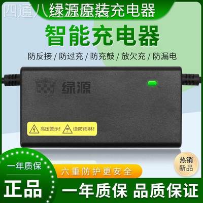 适用于绿源原装电动车电瓶充电器48V12/14AH48V20E-2T两孔公插正