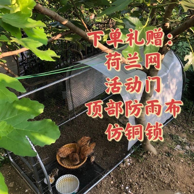 养殖笼家用小型长两米宽一米高一米养鸡笼骨架家用小号荷兰网钢管