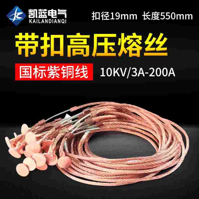 10KV带扣高压熔丝15 25 30A保险丝40 60 75 80 100A RW户外跌落式