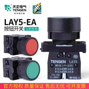TENGEN天正 EA35按钮EA45平头自复位点动按钮开关红EA31绿42 LAY5