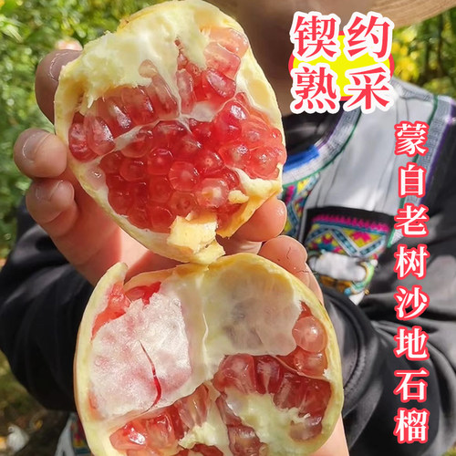 红河老品种蒙自甜石榴5-10斤