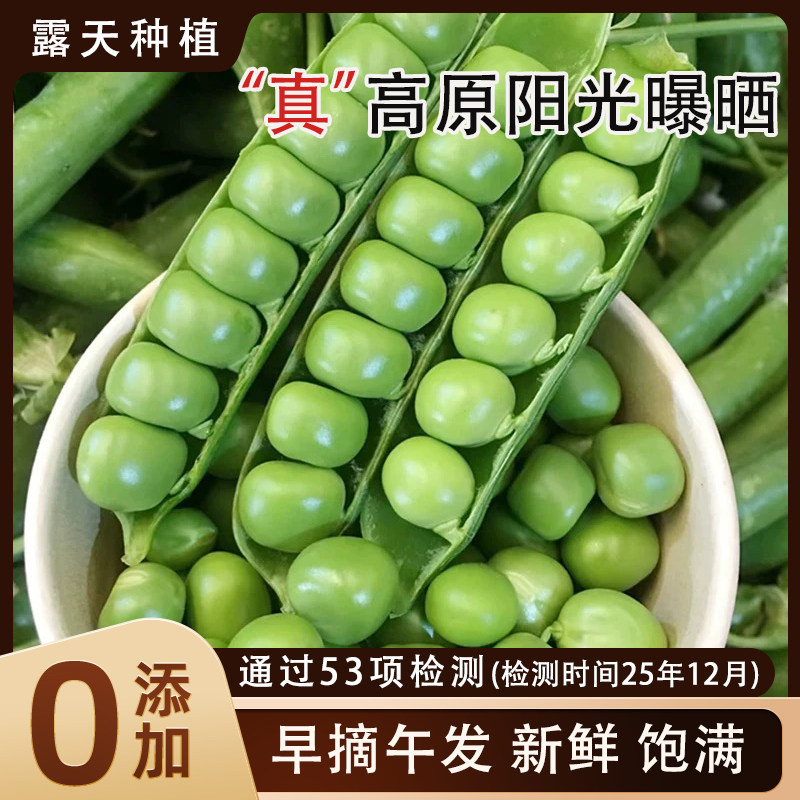 云南蒙自新鲜豌豆高原露天种植带壳甜豌豆当季蔬菜豌豆荚豌豆3斤,水产肉类/新鲜蔬果/熟食,新鲜豆类,淘宝优惠券,粉丝福利购,淘宝优惠卷
