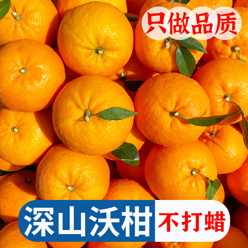 云南沃柑新鲜水果深山高原沃柑孕妇水果桔子橘子品质大果礼盒装