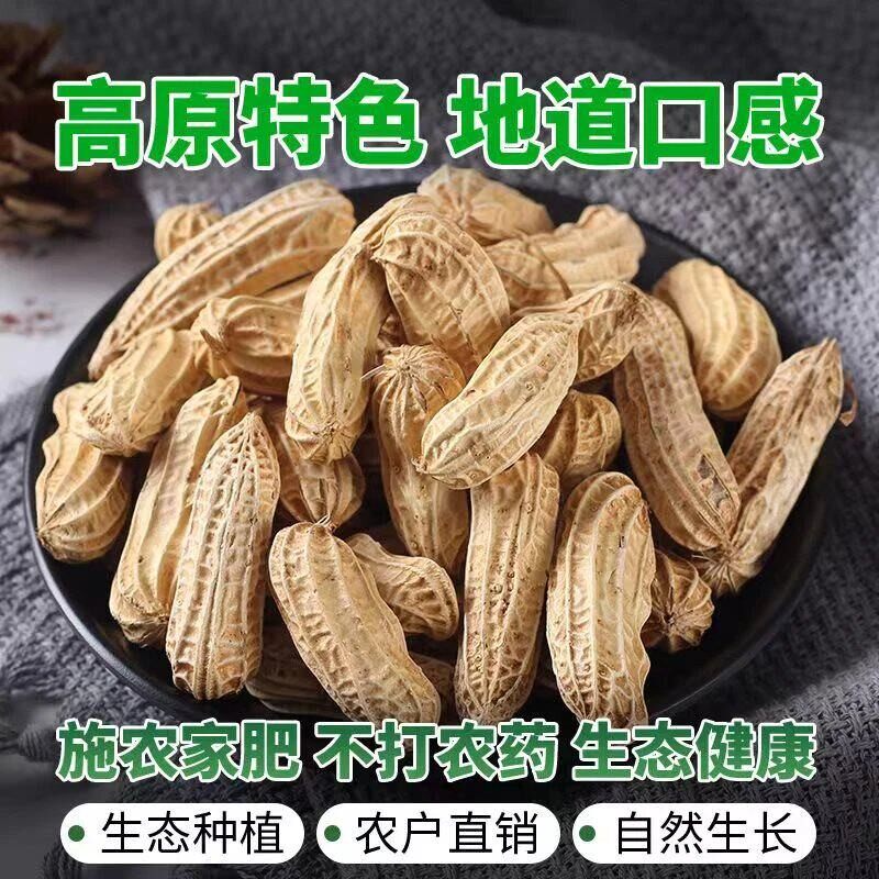 云南七彩花生云南特产五彩花生带壳晒干生炒熟可选休闲零食袋装